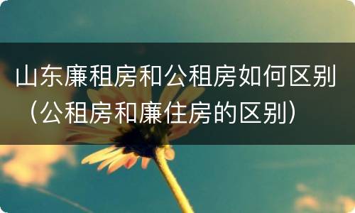 山东廉租房和公租房如何区别（公租房和廉住房的区别）