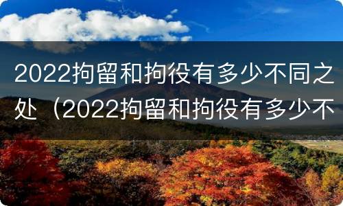 2022拘留和拘役有多少不同之处（2022拘留和拘役有多少不同之处呢）