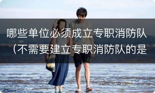 哪些单位必须成立专职消防队（不需要建立专职消防队的是什么单位）