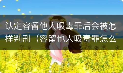 认定容留他人吸毒罪后会被怎样判刑（容留他人吸毒罪怎么判）