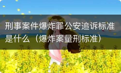刑事案件爆炸罪公安追诉标准是什么（爆炸案量刑标准）