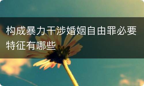 构成暴力干涉婚姻自由罪必要特征有哪些