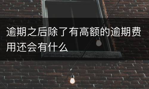 逾期之后除了有高额的逾期费用还会有什么