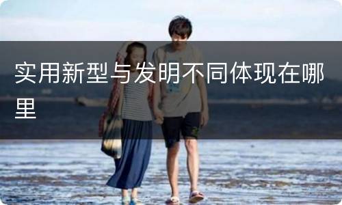 实用新型与发明不同体现在哪里