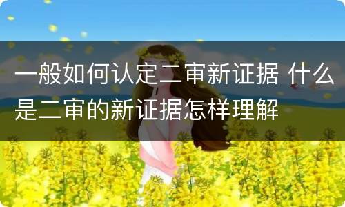 一般如何认定二审新证据 什么是二审的新证据怎样理解