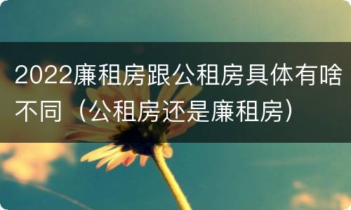 2022廉租房跟公租房具体有啥不同（公租房还是廉租房）