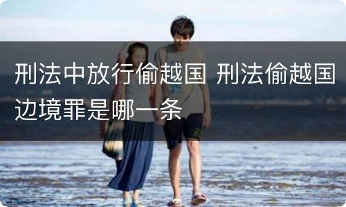 刑法中放行偷越国 刑法偷越国边境罪是哪一条
