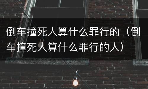 倒车撞死人算什么罪行的（倒车撞死人算什么罪行的人）
