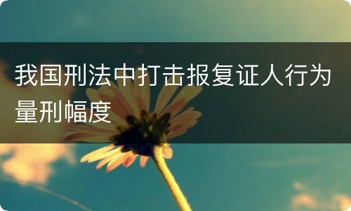 我国刑法中打击报复证人行为量刑幅度