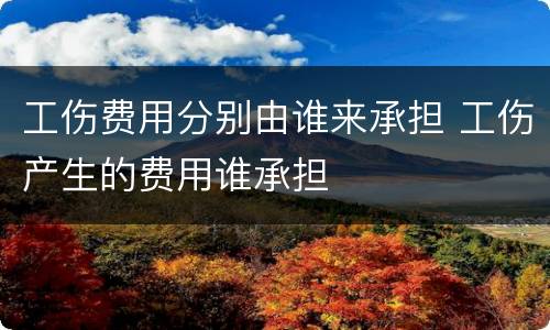工伤费用分别由谁来承担 工伤产生的费用谁承担