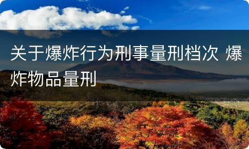 关于爆炸行为刑事量刑档次 爆炸物品量刑