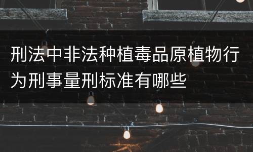 刑法中非法种植毒品原植物行为刑事量刑标准有哪些