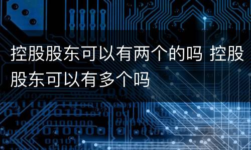 控股股东可以有两个的吗 控股股东可以有多个吗
