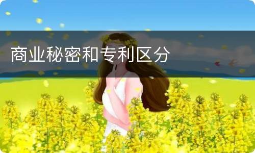 商业秘密和专利区分