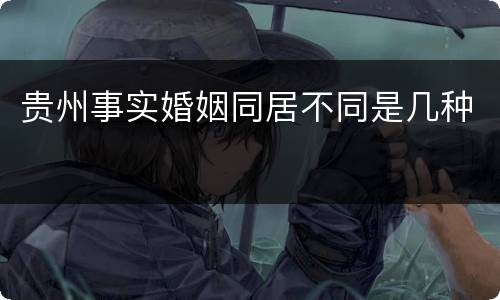 贵州事实婚姻同居不同是几种