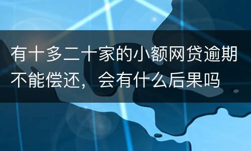 有十多二十家的小额网贷逾期不能偿还，会有什么后果吗