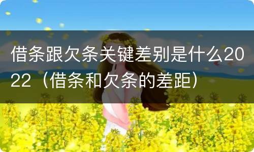 借条跟欠条关键差别是什么2022（借条和欠条的差距）