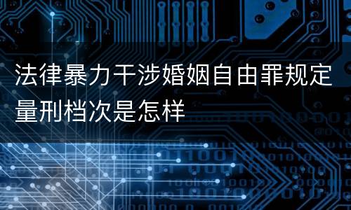 法律暴力干涉婚姻自由罪规定量刑档次是怎样