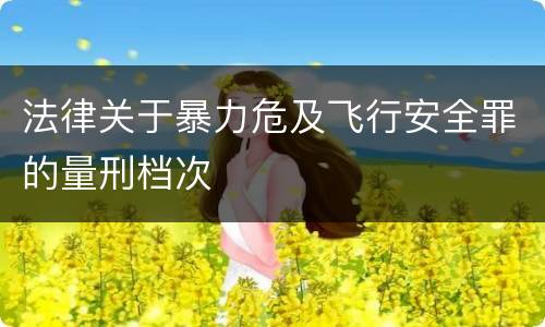 法律关于暴力危及飞行安全罪的量刑档次
