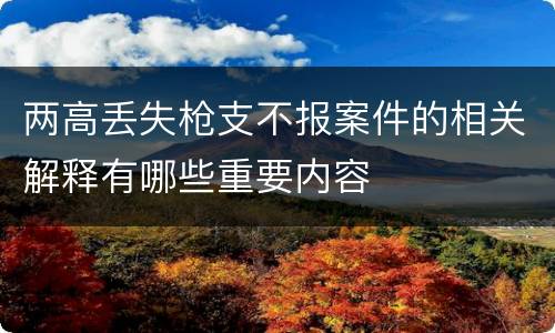 两高丢失枪支不报案件的相关解释有哪些重要内容