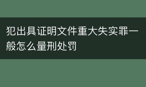 犯出具证明文件重大失实罪一般怎么量刑处罚