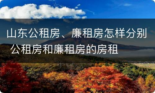 山东公租房、廉租房怎样分别 公租房和廉租房的房租