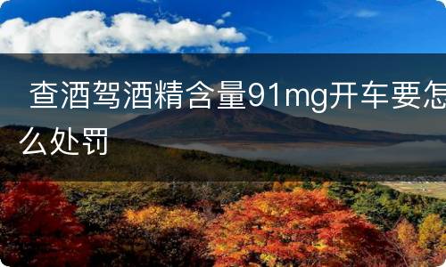  查酒驾酒精含量91mg开车要怎么处罚