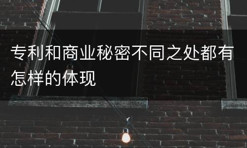 专利和商业秘密不同之处都有怎样的体现