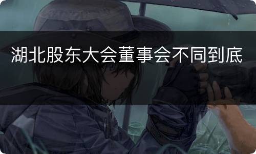 湖北股东大会董事会不同到底