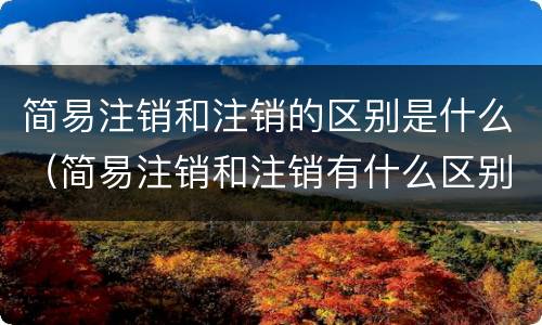 简易注销和注销的区别是什么（简易注销和注销有什么区别）