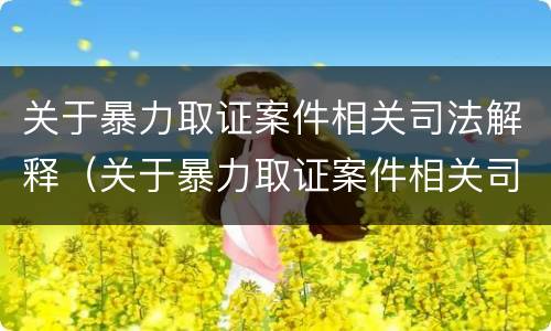 关于暴力取证案件相关司法解释（关于暴力取证案件相关司法解释的规定）