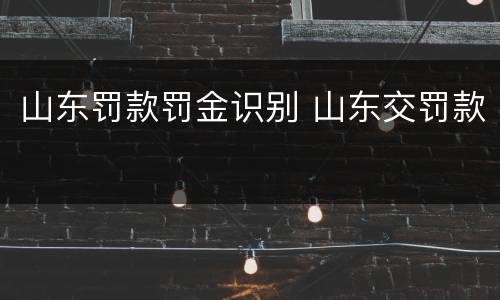 山东罚款罚金识别 山东交罚款