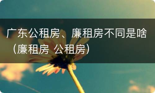 广东公租房、廉租房不同是啥（廉租房 公租房）