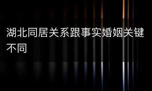 湖北同居关系跟事实婚姻关键不同