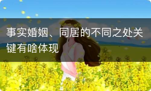 事实婚姻、同居的不同之处关键有啥体现