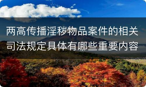 两高传播淫秽物品案件的相关司法规定具体有哪些重要内容