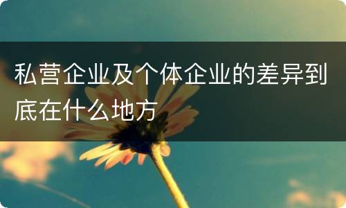 私营企业及个体企业的差异到底在什么地方
