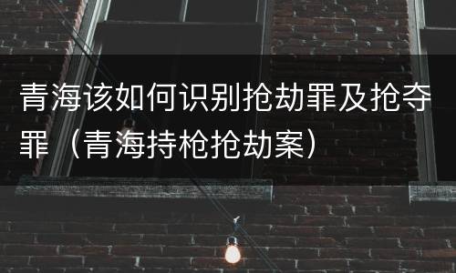 青海该如何识别抢劫罪及抢夺罪（青海持枪抢劫案）