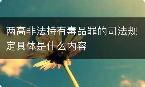 两高非法持有毒品罪的司法规定具体是什么内容