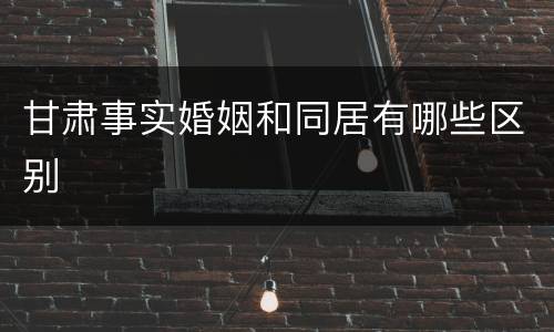 甘肃事实婚姻和同居有哪些区别