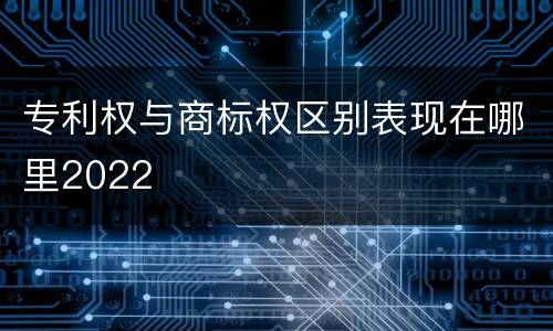 专利权与商标权区别表现在哪里2022