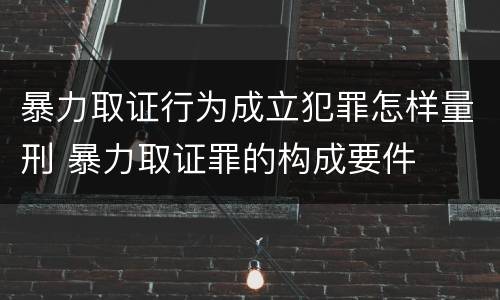 暴力取证行为成立犯罪怎样量刑 暴力取证罪的构成要件