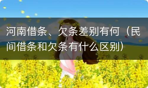 河南借条、欠条差别有何（民间借条和欠条有什么区别）