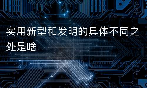实用新型和发明的具体不同之处是啥