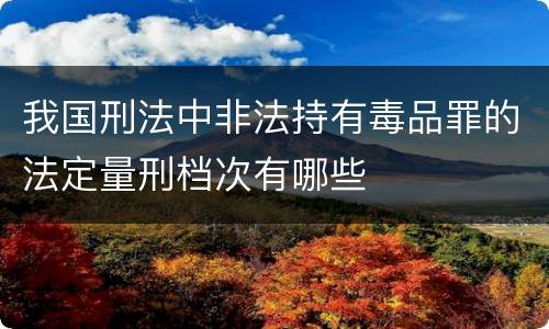 我国刑法中非法持有毒品罪的法定量刑档次有哪些