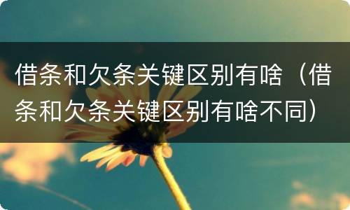借条和欠条关键区别有啥（借条和欠条关键区别有啥不同）