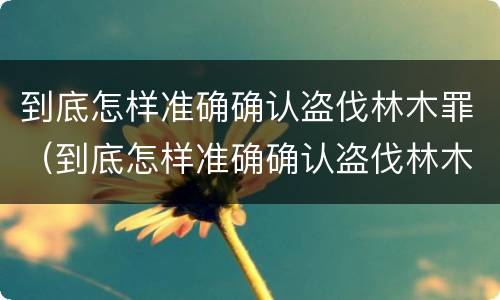 到底怎样准确确认盗伐林木罪（到底怎样准确确认盗伐林木罪）