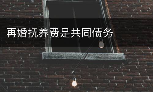 再婚抚养费是共同债务