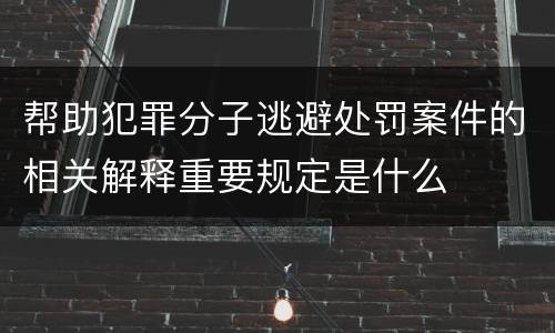 帮助犯罪分子逃避处罚案件的相关解释重要规定是什么