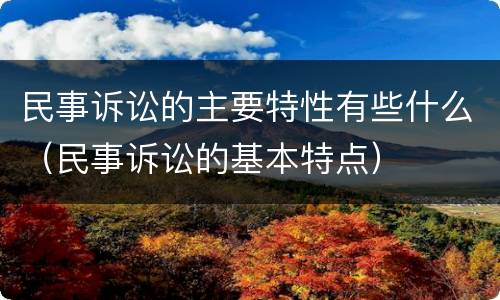 民事诉讼的主要特性有些什么（民事诉讼的基本特点）